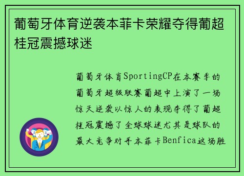 葡萄牙体育逆袭本菲卡荣耀夺得葡超桂冠震撼球迷 葡萄牙体育逆袭本菲卡荣耀夺得葡超桂冠震撼球迷